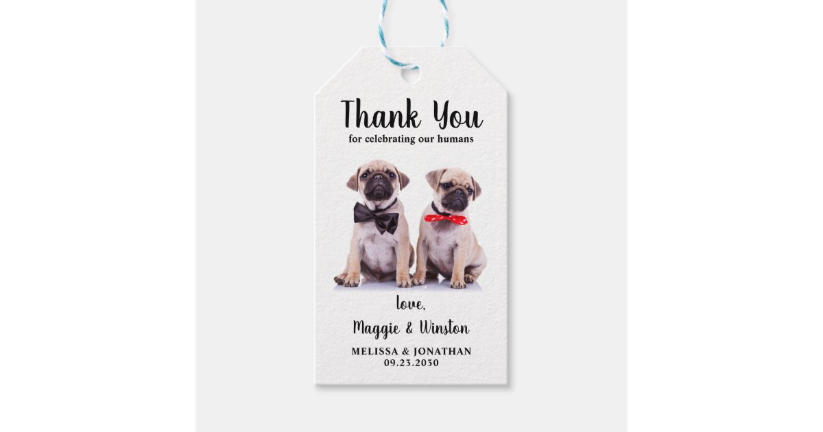 Pet Wedding Thank You Personalized Photo Dog Gift Tags | Zazzle