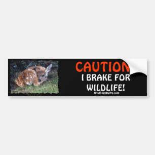 PET  & WILDLIFE PROTECTION Deer Bumper Stickers