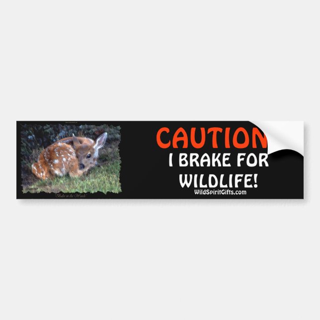 PET  & WILDLIFE PROTECTION Deer Bumper Stickers (Front)