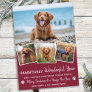 Pet Year in Review Red Dog Photo Collage Holiday Card