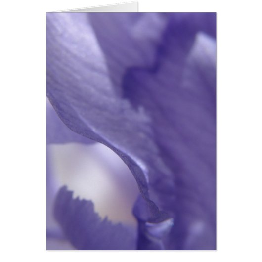 Petal Cards (Front)