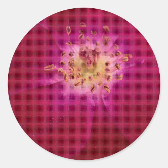 Petal Perfection: Checkered Rose Petal Pattern Art Classic Round Sticker (Front)