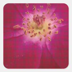 Petal Perfection: Checkered Rose Petal Pattern Art Square Sticker