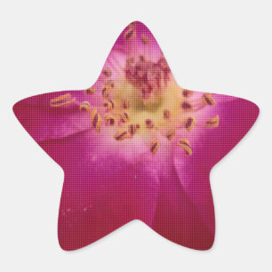 Petal Perfection: Checkered Rose Petal Pattern Art Star Sticker