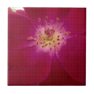 Petal Perfection: Checkered Rose Petal Pattern Art Tile