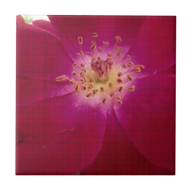 Petal Perfection: Checkered Rose Petal Pattern Art Tile (Front)