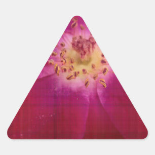 Petal Perfection: Checkered Rose Petal Pattern Art Triangle Sticker