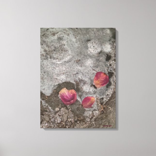 Petals Ashore Canvas Print (Front)