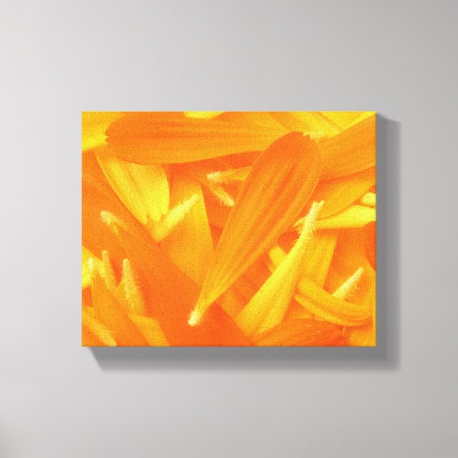 Petals Canvas Print (Front)