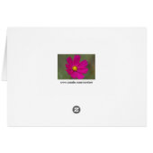 petals cards (Back Horizontal)