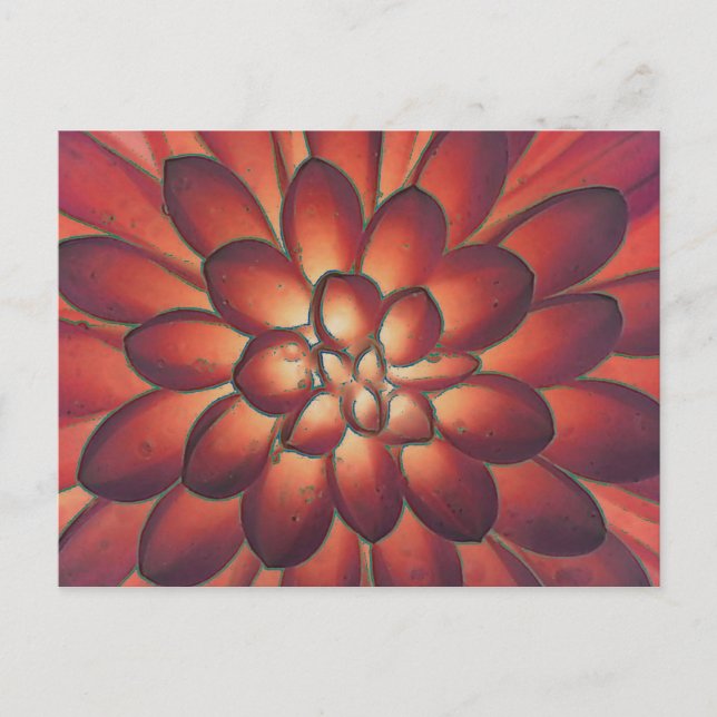 Petals Modern Abstract Floral Fine Art Postcard (Front)
