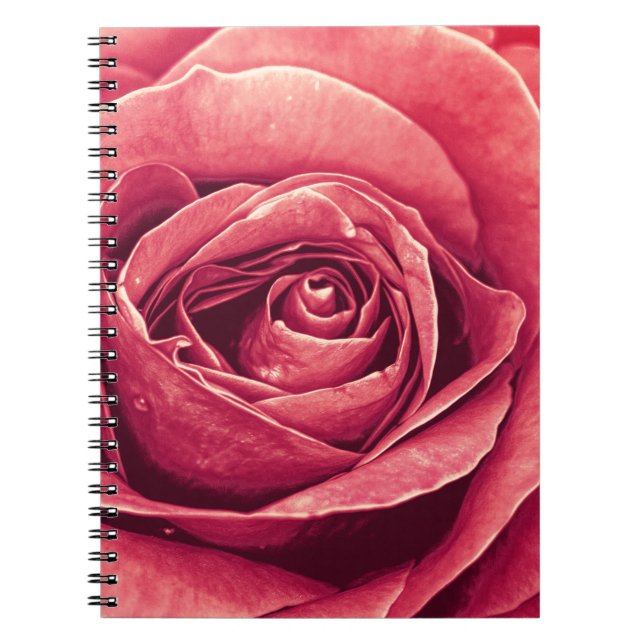 Petals of A Rose Notebook (Front)