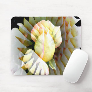 Petals of Peace...... Mouse Pad