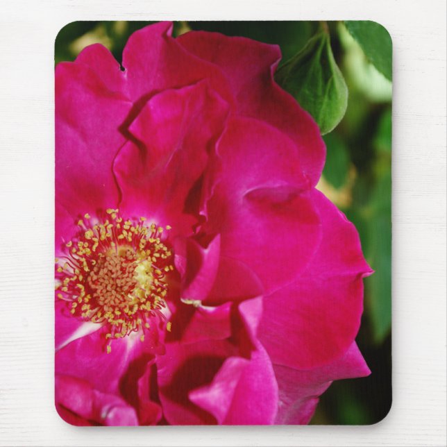 Petals of Summer Mousepad (Front)