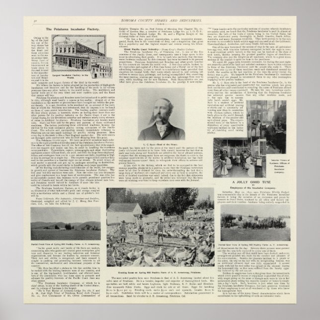 Petaluma Incubator Factory, California Poster (Front)