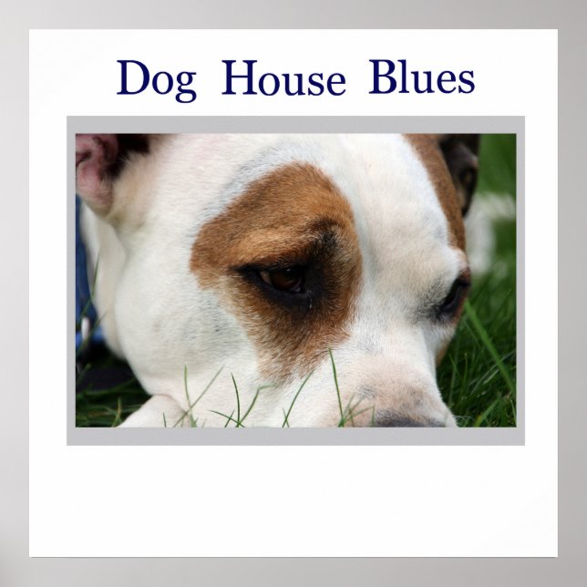 Pete Pit1 Poster (Front)