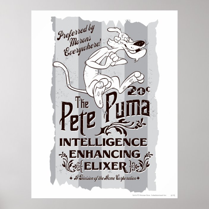 puma intelligence