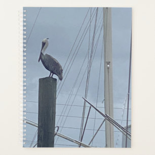 Pete the Pelican Planner