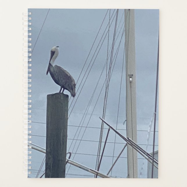 Pete the Pelican Planner (Front)