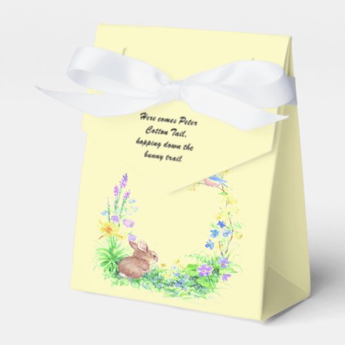 Peter Cotton Tail Favor Boxes