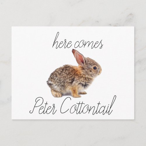 Peter Cottontail Bunny Rabbit Holiday Postcard