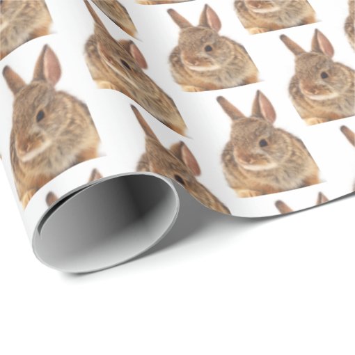 Peter Cottontail Rabbit Wrapping Paper Zazzle