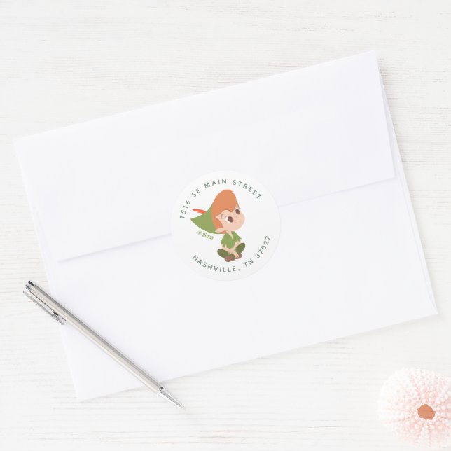 Peter Pan Neverland - Baby Shower Classic Round Sticker (Envelope)