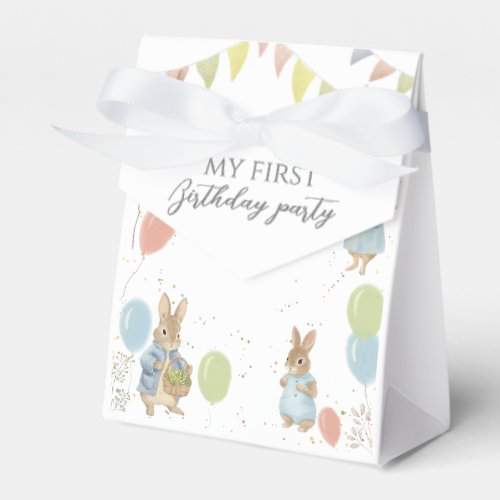 Peter Rabbit 1st Birthday Party Favor Boxes