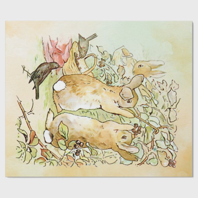 Peter Rabbit  4  Wrapping Paper (Flat)