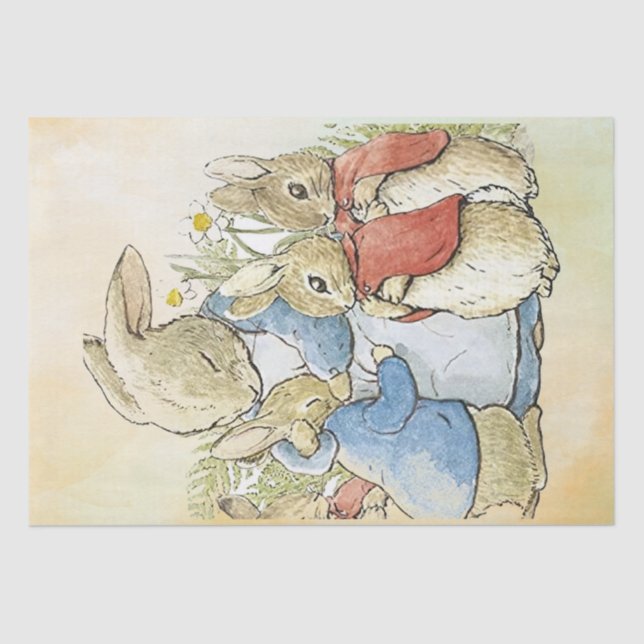 Peter Rabbit 8 Tissue Paper (Front)