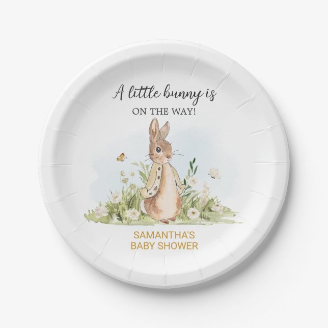 Peter Rabbit Baby Shower Paper Plates (Front)