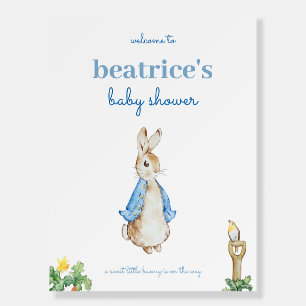 Peter Rabbit Baby Shower Welcome Sign Poster