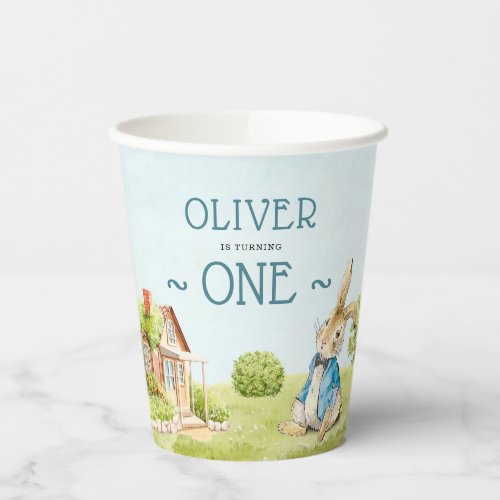 Peter Rabbit Babys Boy First Birthday Paper Cups