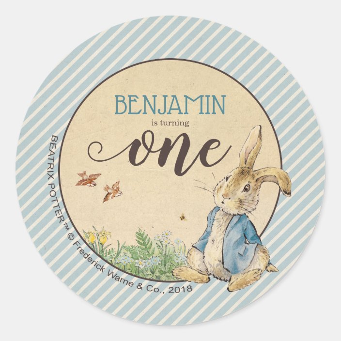 peter rabbit birthday shirt