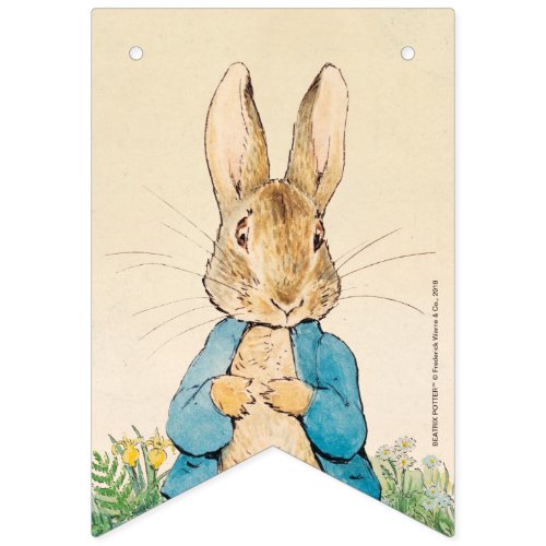 Peter Rabbit  Boy Baby Shower Bunting Flags