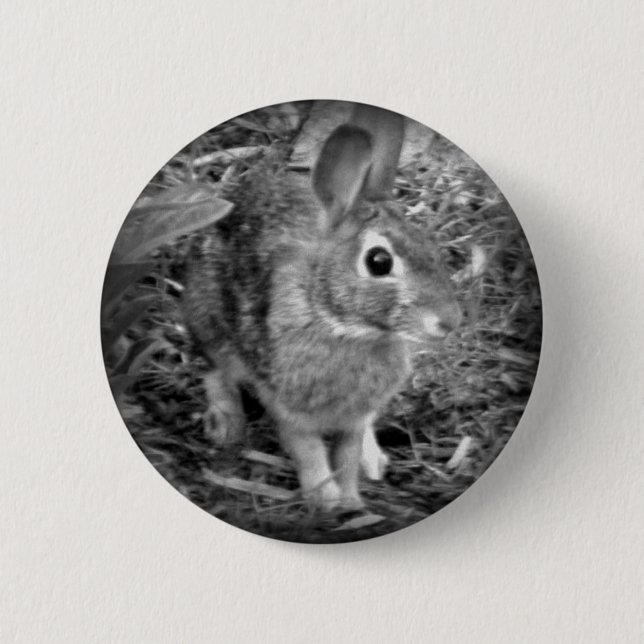 Peter Rabbit Button (Front)