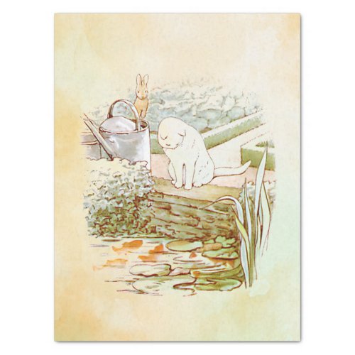 Peter Rabbit cat Tissue Paper