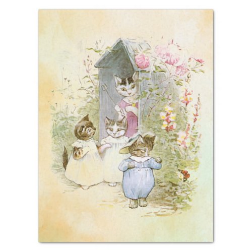 Peter Rabbit cats Tissue Paper