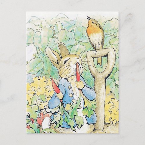Peter Rabbit Eats a Carrot by Beatrix Potter Postcard