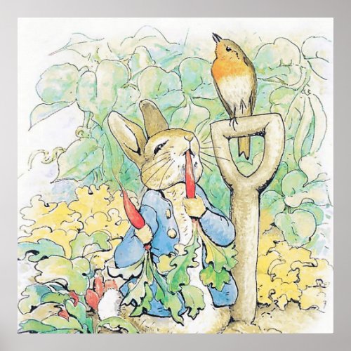 Peter Rabbit Eats a Carrot by Beatrix Potter Poster