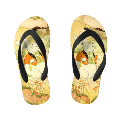 Peter Rabbit Flip Flops