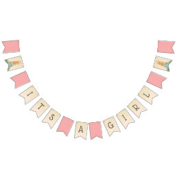 Peter Rabbit | Girl Baby Shower Bunting Flags