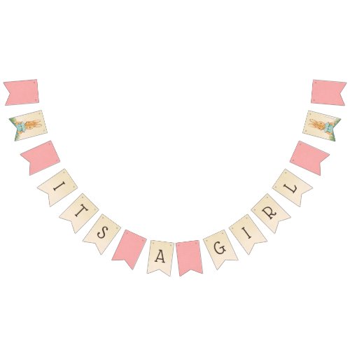 Peter Rabbit  Girl Baby Shower Bunting Flags