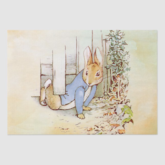Peter Rabbit  Tissue Paper (Front)