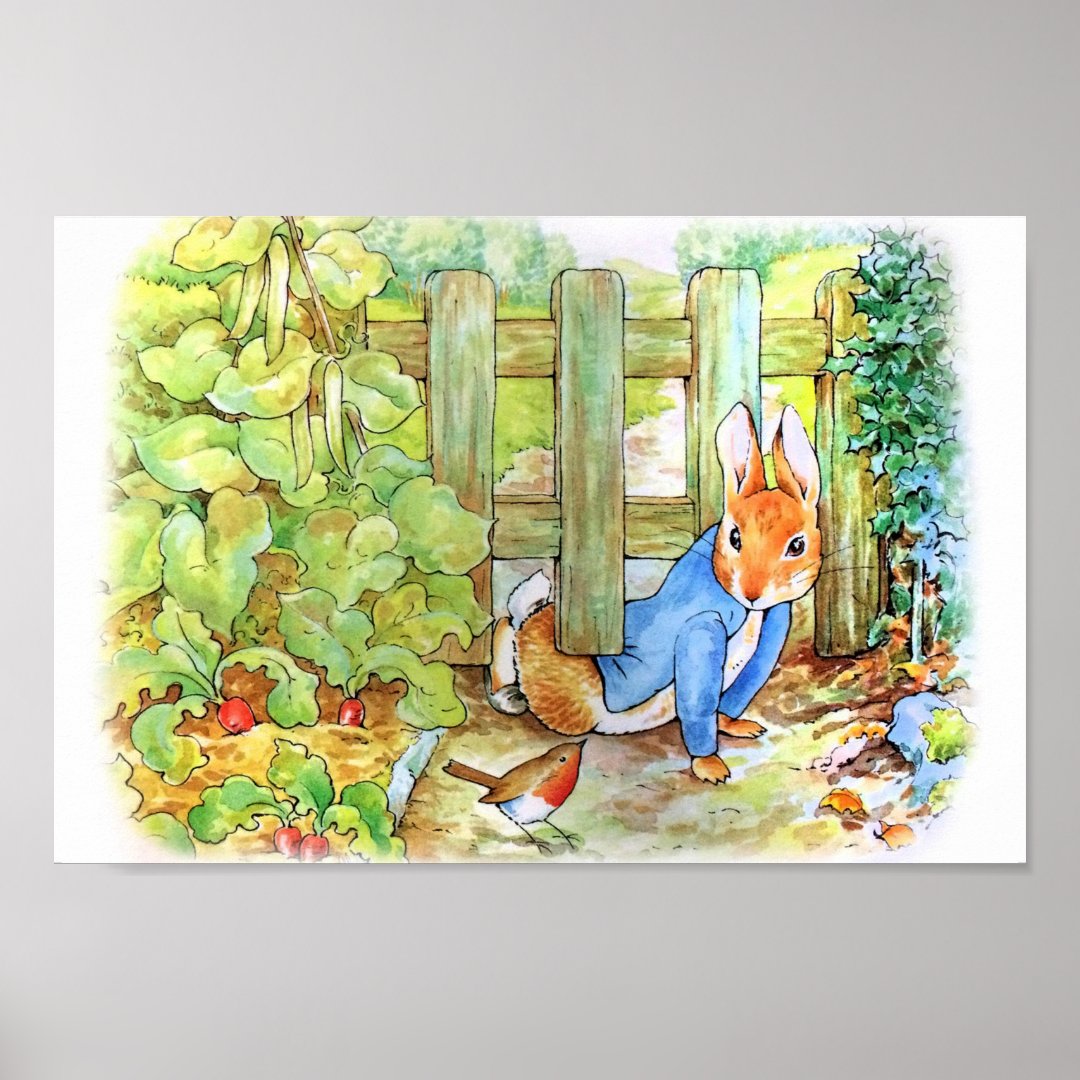 Peter Rabbit Under Garden Fence Poster Zazzle