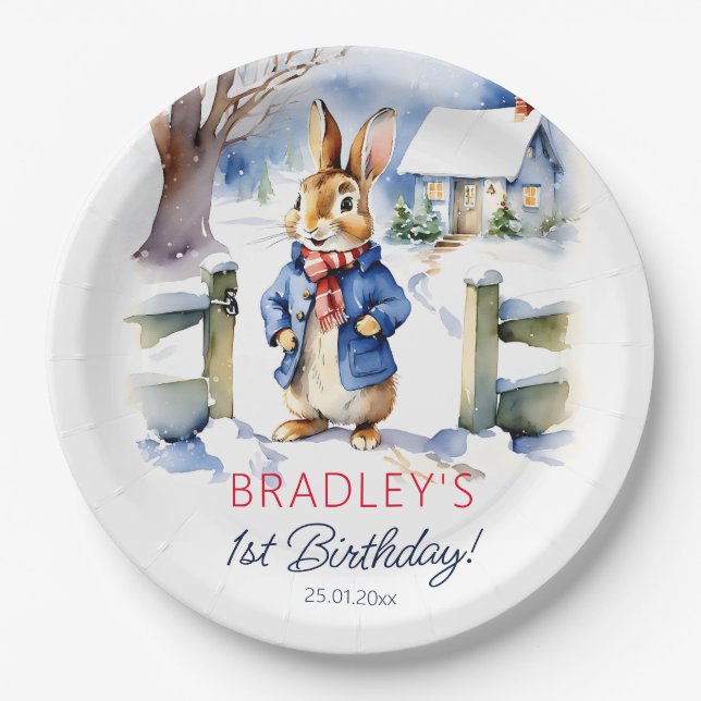 Peter rabbit winter birthday party tableware paper plates (Front)
