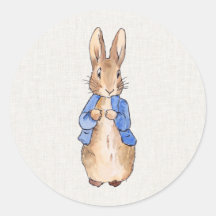 Personalised Stickers adresse étiquette Cercle Peter Rabbit Baby Shower Anniversaire 1st 