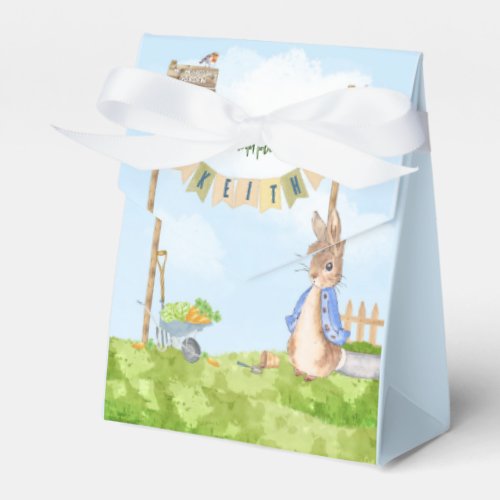 Peter the Rabbit Birthday Garden Party  Favor Boxes