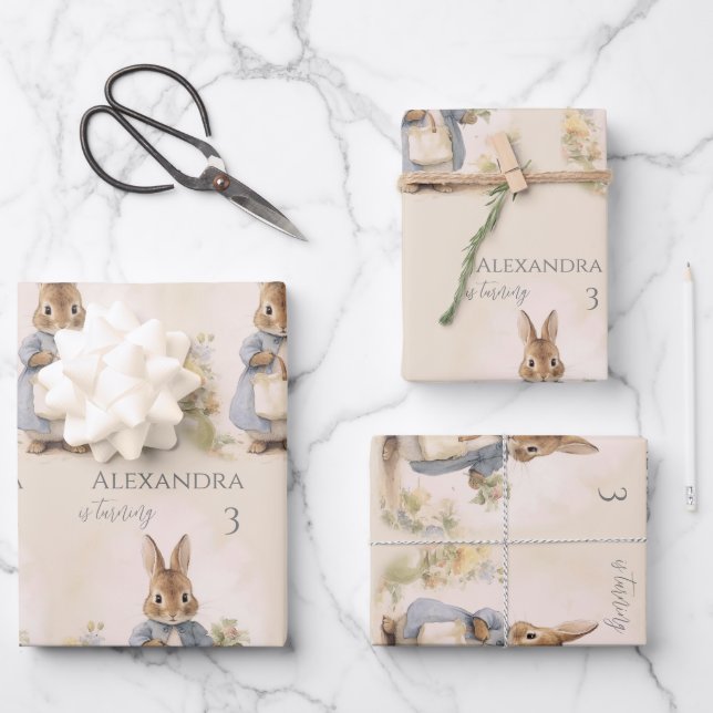 Peter the Rabbit Birthday Party Wrapping Paper Sheets (Front)