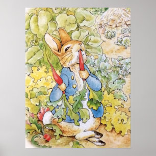 Peter the Rabbit Eating a Carrot Poster